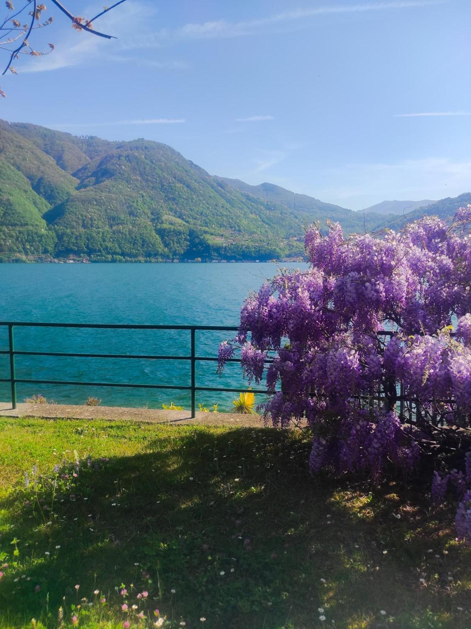 Lfsuite Luganolake Terrazza Spiaggia Privata Parking Wi-Fi Netflix Porlezza Exterior photo